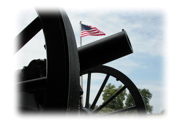 #19 cannon & flag