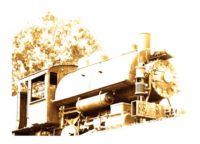 #36 train