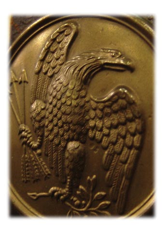 #43 eagle