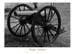 #18 6# cannon